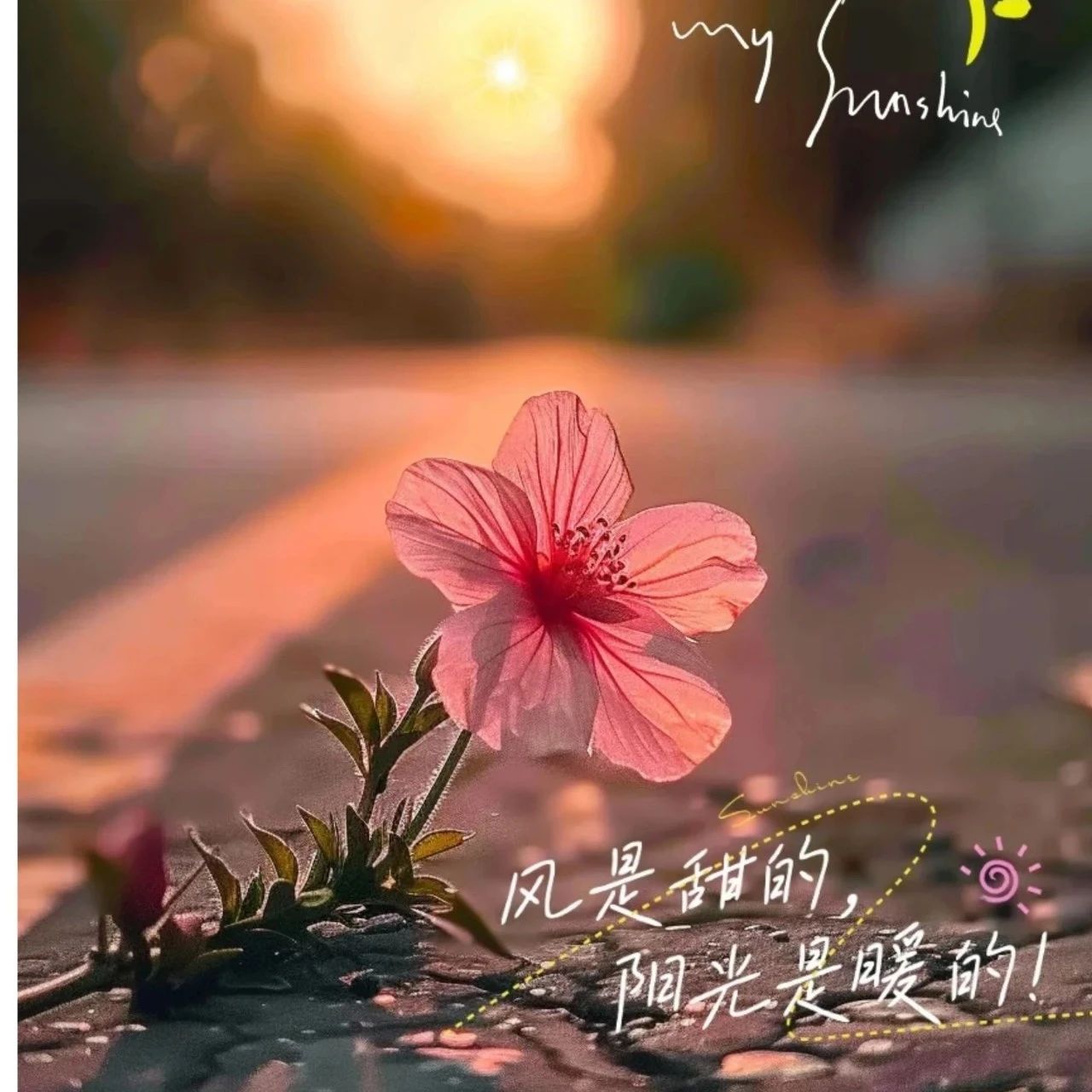 题图-＂²⁰²⁴/₁₁.₁₀ ᵕ̈ 朋ᩚ友ᩚ圈ᩚ🥂早安文案🧡ᐝ ＂