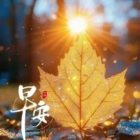 题图-“²⁰²⁴/₁₁.₁₈ ᵕ̈ 朋ᩚ友ᩚ圈ᩚ🥂早安文案🧡ᐝ ”