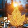题图-“²⁰²⁴/₁₁.₁₈ ᵕ̈ 朋ᩚ友ᩚ圈ᩚ🥂早安文案🧡ᐝ ”