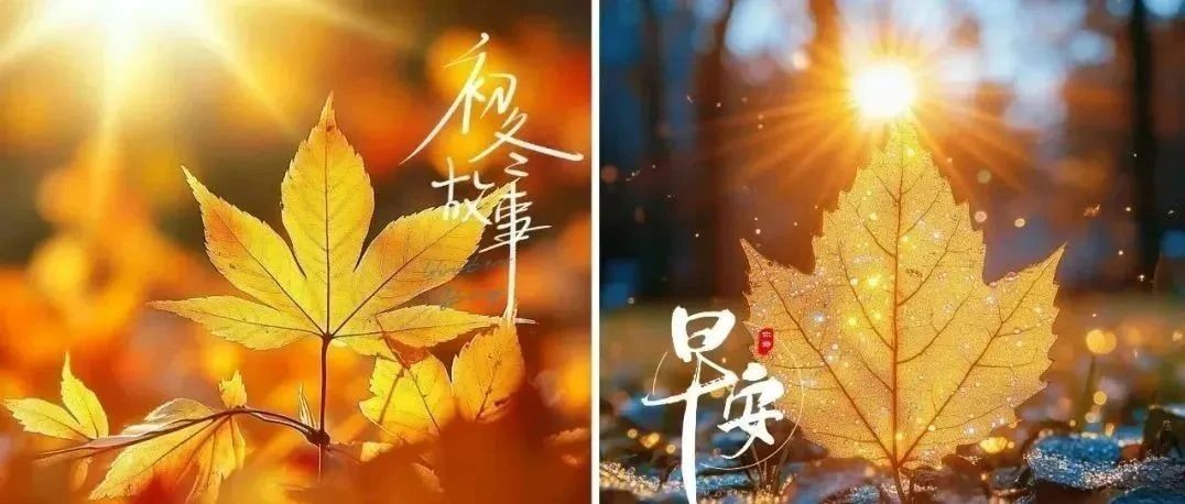 题图-“²⁰²⁴/₁₁.₁₈ ᵕ̈ 朋ᩚ友ᩚ圈ᩚ🥂早安文案🧡ᐝ ”