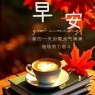 题图-“²⁰²⁴/₁₁.₁₅ ᵕ̈ 朋ᩚ友ᩚ圈ᩚ🥂早安文案🧡ᐝ ”