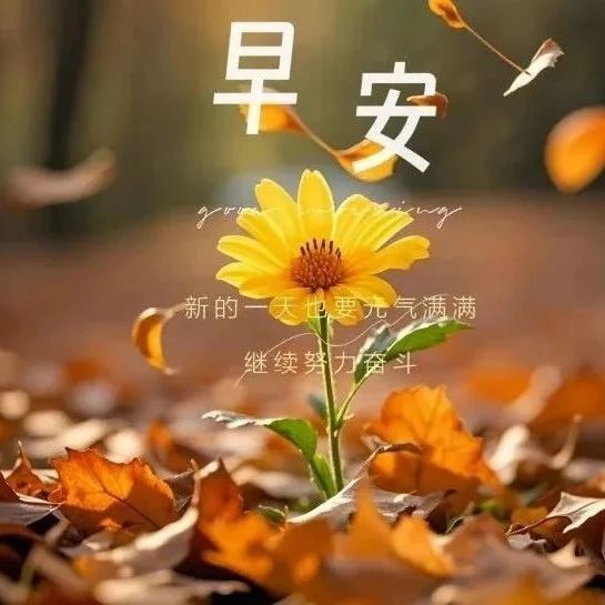 题图-“²⁰²⁴/₁₁.₂₇ ᵕ̈ 朋ᩚ友ᩚ圈ᩚ🥂早安文案🧡ᐝ ”