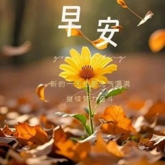 题图-“²⁰²⁴/₁₁.₂₇ ᵕ̈ 朋ᩚ友ᩚ圈ᩚ🥂早安文案🧡ᐝ ”