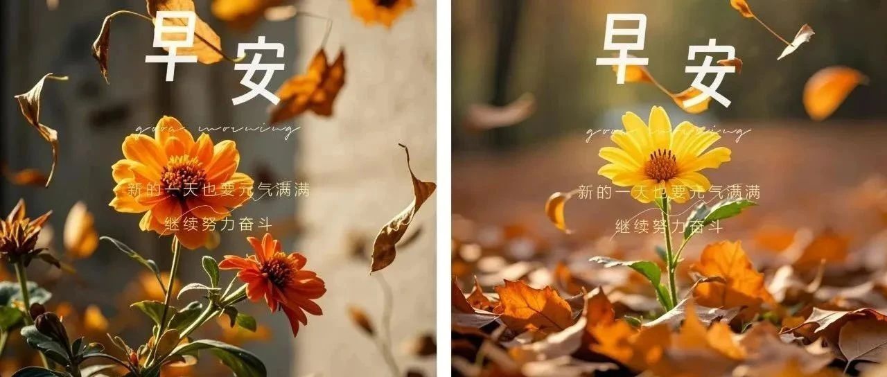 题图-“²⁰²⁴/₁₁.₂₇ ᵕ̈ 朋ᩚ友ᩚ圈ᩚ🥂早安文案🧡ᐝ ”