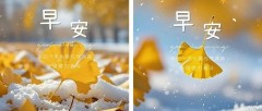 题图-“²⁰²⁴/₁₁.₂₆ ᵕ̈ 朋ᩚ友ᩚ圈ᩚ🥂早安文案🧡ᐝ ”