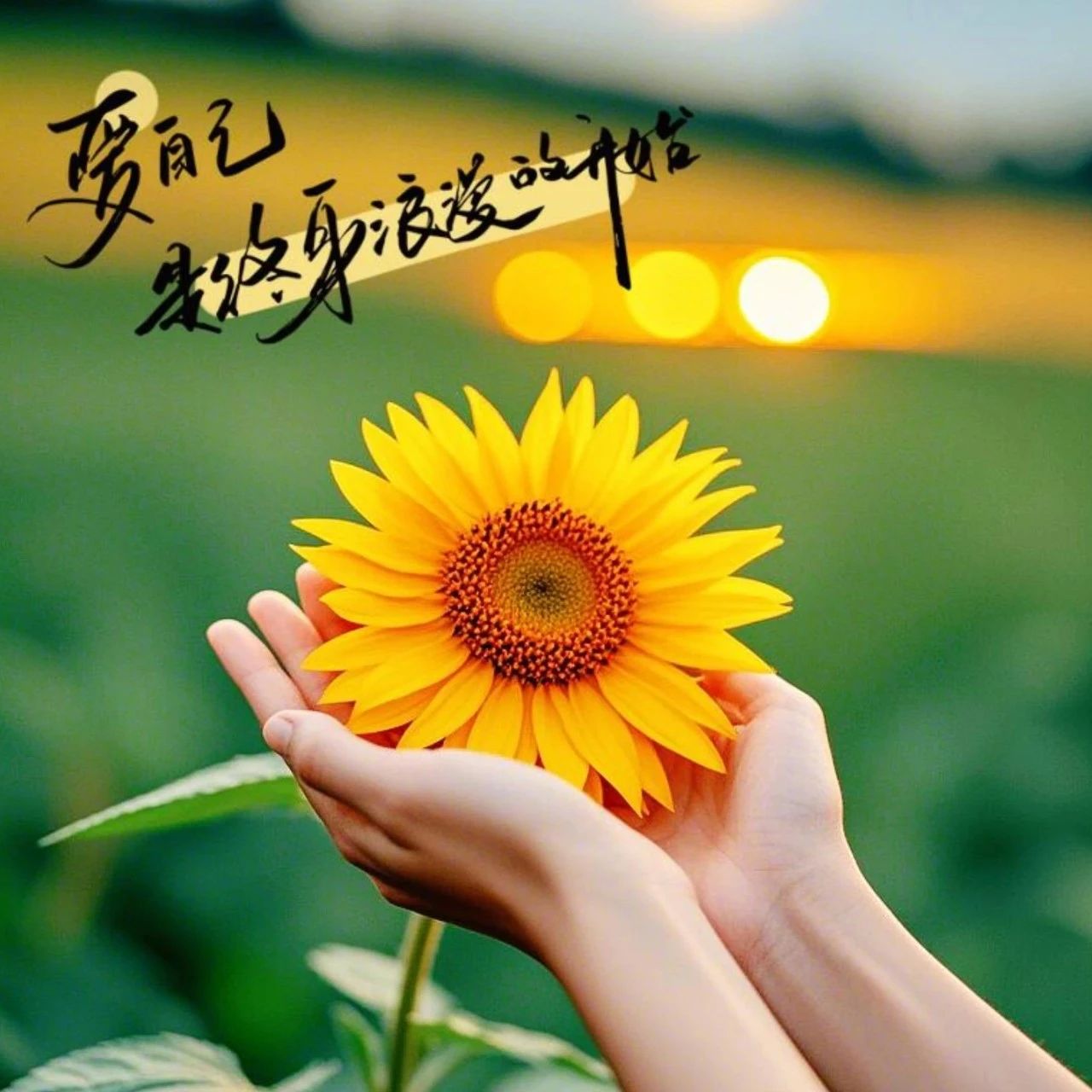 题图-ˎˊ˗²⁰²⁴ᰔᩚ/₁₁.₂₄早安朋友圈文案:悦己者，自成山海！