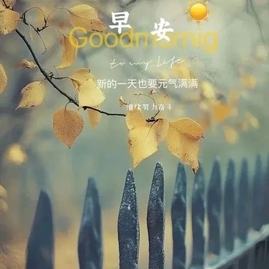 题图-“ ²⁰²⁴/₁₁.₂₄ ᵕ̈ 朋ᩚ友ᩚ圈ᩚ🥂早安文案˗ˏˋ🧡ˎˊ˗ ”
