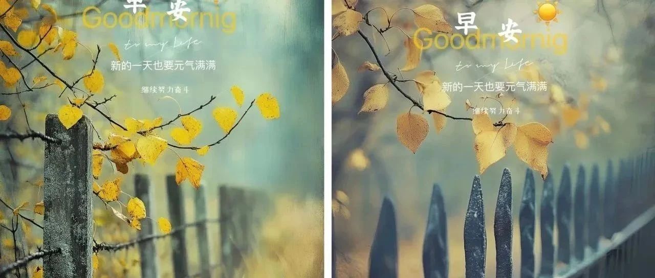 题图-“ ²⁰²⁴/₁₁.₂₄ ᵕ̈ 朋ᩚ友ᩚ圈ᩚ🥂早安文案˗ˏˋ🧡ˎˊ˗ ”