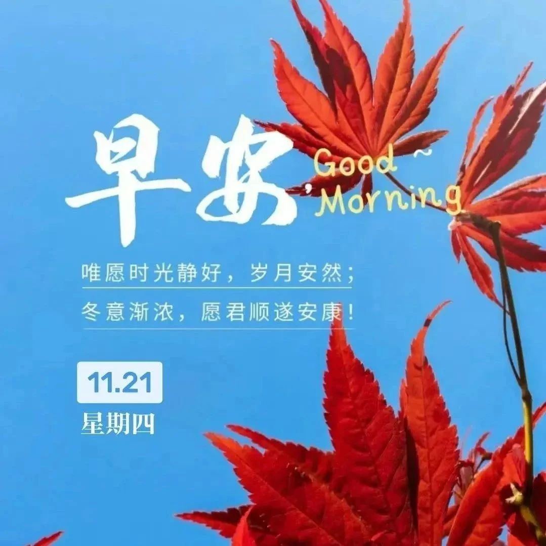 题图-²⁰²⁴/₁₁.₂₁ ᵕ̈ 周四早安:“只要心里充满阳光，眼里透出希望，你所拥有的就是人间最宝贵的礼物！”
