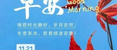 题图-²⁰²⁴/₁₁.₂₁ ᵕ̈ 周四早安:“只要心里充满阳光，眼里透出希望，你所拥有的就是人间最宝贵的礼物！”