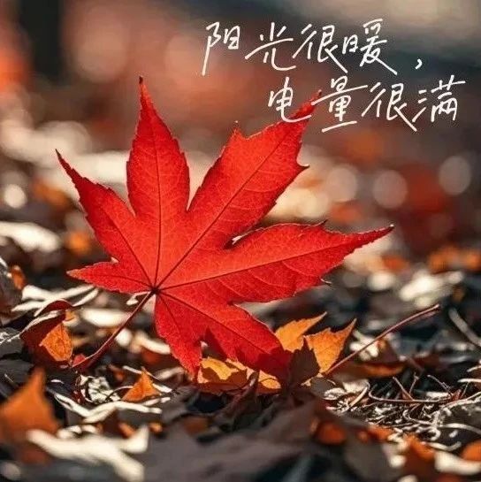 题图-“ ²⁰²⁴/₁₁.₂₀ ᵕ̈ 朋ᩚ友ᩚ圈ᩚ🥂早安文案˗ˏˋ🧡ˎˊ˗ ”