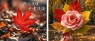题图-“ ²⁰²⁴/₁₁.₂₀ ᵕ̈ 朋ᩚ友ᩚ圈ᩚ🥂早安文案˗ˏˋ🧡ˎˊ˗ ”