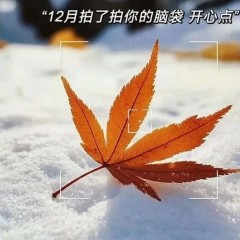 题图-“²⁰²⁴/₁₂.₀₁ ᵕ̈ 朋友圈早安文案：十一月再见，十二月你好🧡ᐝ ”