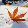 题图-“²⁰²⁴/₁₂.₀₁ ᵕ̈ 朋友圈早安文案：十一月再见，十二月你好🧡ᐝ ”