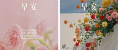 题图-“早安高级文案，发光且有力量”