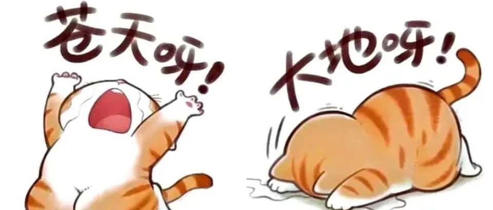 题图-“句句歪理，句句在理”