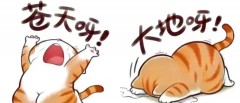 题图-“句句歪理，句句在理”