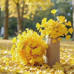 题图-“ ²⁰²⁴/₁₂.₀₄ᵕ̈朋友圈🥂早安文案˗ˏˋ🧡ˎˊ˗ ”