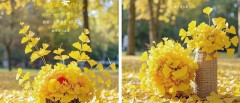 题图-“ ²⁰²⁴/₁₂.₀₄ᵕ̈朋友圈🥂早安文案˗ˏˋ🧡ˎˊ˗ ”