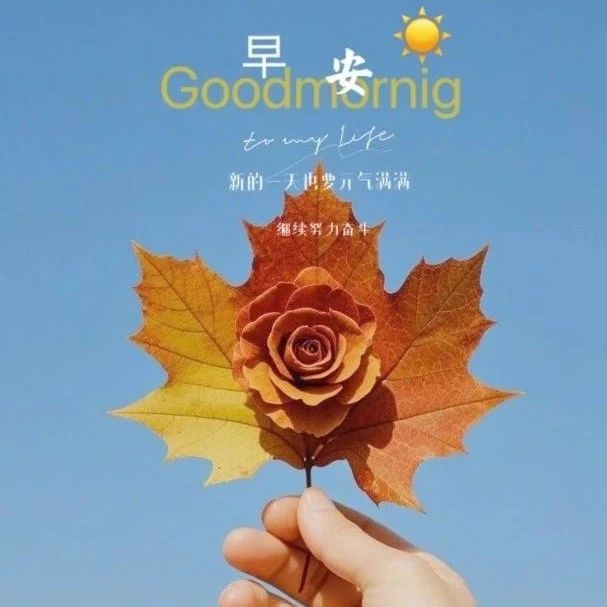 题图-“ ²⁰²⁴/₁₂.₀₃ᵕ̈朋友圈🥂早安文案˗ˏˋ🧡ˎˊ˗ ”