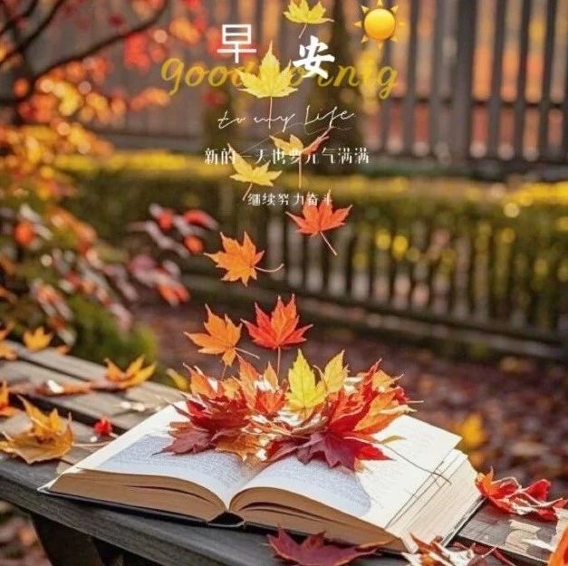 题图-“ ²⁰²⁴/₁₂.₀₂ᵕ̈朋友圈🥂早安文案˗ˏˋ🧡ˎˊ˗ ”