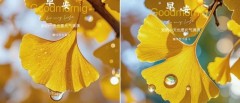 题图-“ ²⁰²⁴/₁₁.₂₆ᵕ̈ 朋友圈🥂早安文案˗ˏˋ🧡ˎˊ˗ ”