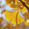 题图-“ ²⁰²⁴/₁₁.₂₆ᵕ̈ 朋友圈🥂早安文案˗ˏˋ🧡ˎˊ˗ ”