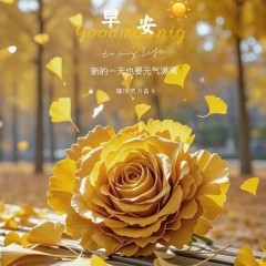 题图-“ ²⁰²⁴/₁₁.₂₅ᵕ̈ 朋友圈🥂早安文案˗ˏˋ🧡ˎˊ˗ ”