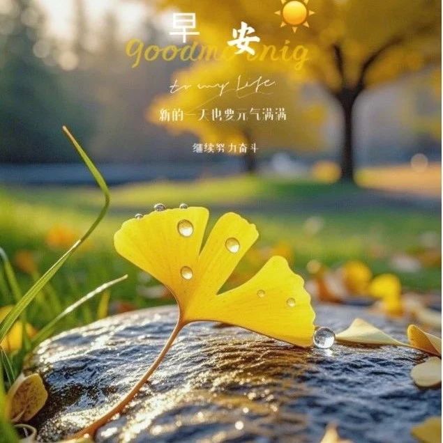 题图-“˗ˋˏ早安朋友圈文案ˎˊ˗²⁰²⁴/₁₁.₂₄：保重身体， 健康第一”