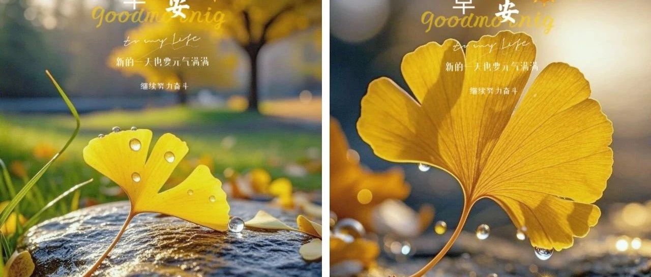 题图-“˗ˋˏ早安朋友圈文案ˎˊ˗²⁰²⁴/₁₁.₂₄：保重身体， 健康第一”