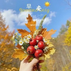 题图-“˗ˋˏ早安朋友圈文案ˎˊ˗²⁰²⁴/₁₁.₂₂：自行，自醒，自清欢”