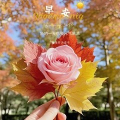 题图-“ ²⁰²⁴/₁₁.₂₂ᵕ̈ 朋友圈🥂早安文案˗ˏˋ🧡ˎˊ˗ ”