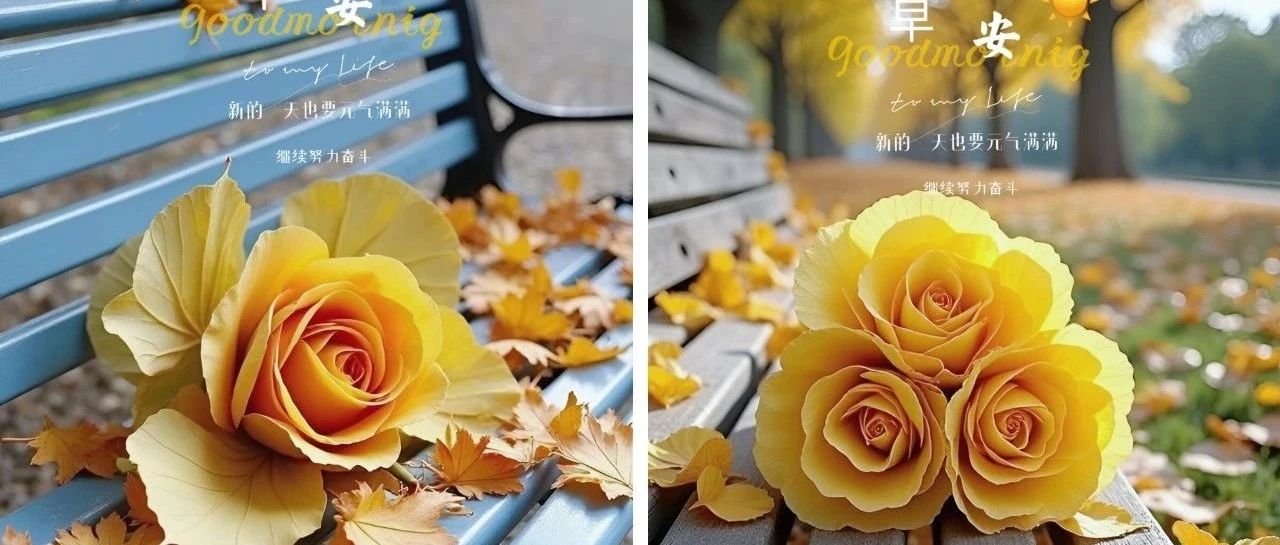 题图-“ ²⁰²⁴/₁₁.₂₁ᵕ̈ 朋友圈🥂早安文案˗ˏˋ🧡