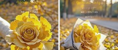 题图-“˗ˋˏ早安朋友圈文案ˎˊ˗²⁰²⁴/₁₁.₁₉：慢慢地理解世界， 慢慢地更新自己”