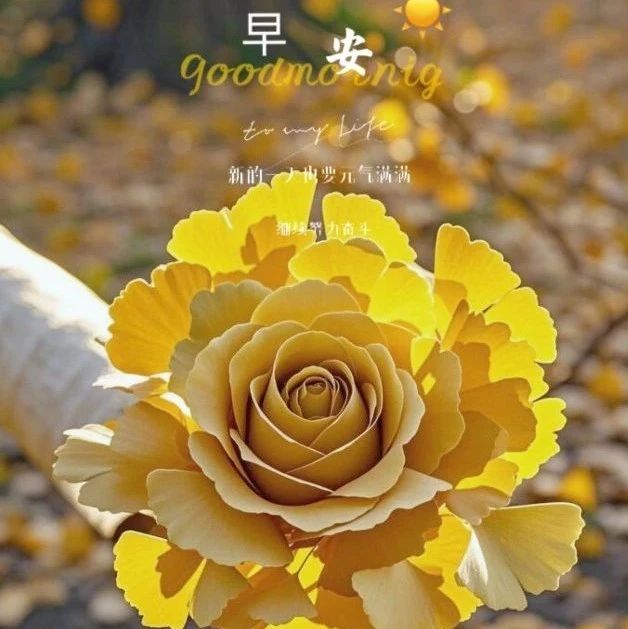 题图-“˗ˋˏ早安朋友圈文案ˎˊ˗²⁰²⁴/₁₁.₁₉：慢慢地理解世界， 慢慢地更新自己”