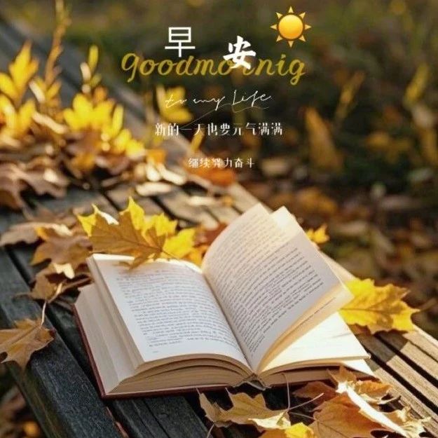题图-“ ²⁰²⁴/₁₁.₁₉ᵕ̈ 朋友圈🥂早安文案˗ˏˋ🧡ˎˊ˗ ”