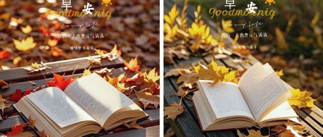 题图-“ ²⁰²⁴/₁₁.₁₉ᵕ̈ 朋友圈🥂早安文案˗ˏˋ🧡ˎˊ˗ ”