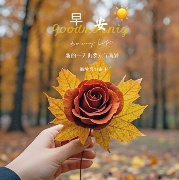 题图-“˗ˋˏ早安朋友圈文案ˎˊ˗²⁰²⁴/₁₁.₁₈：阳光很暖，风很甜， 万物可爱，人间值得”