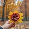 题图-“˗ˋˏ早安朋友圈文案ˎˊ˗²⁰²⁴/₁₁.₁₈：阳光很暖，风很甜， 万物可爱，人间值得”