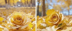 题图-“ ²⁰²⁴/₁₁.₁₇ᵕ̈ 朋友圈🥂早安文案˗ˏˋ🧡ˎˊ˗ ”