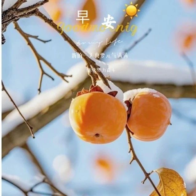 题图-“˗ˋˏ早安朋友圈文案ˎˊ˗²⁰²⁴/₁₁.₁₅：人间总有一两风，填我十万八千梦”