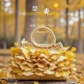 题图-“ ²⁰²⁴/₁₁.₁₅ᵕ̈朋友圈🥂早安文案˗ˏˋ🧡ˎˊ˗ ”