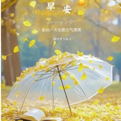题图-“˗ˋˏ早安朋友圈文案ˎˊ˗²⁰²⁴/₁₁.₁₄：烟火里谋生，四季里谋爱”