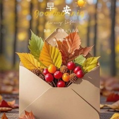 题图-“ ²⁰²⁴/₁₁.₁₄ᵕ̈朋友圈🥂早安文案˗ˏˋ🧡ˎˊ˗ ”