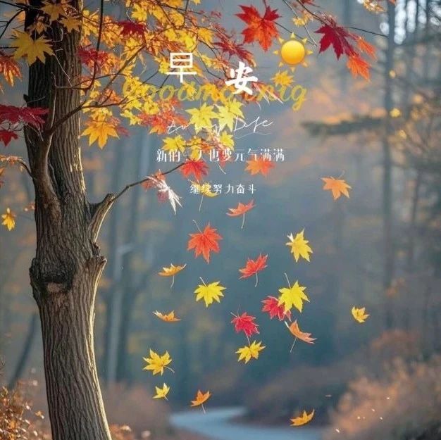 题图-“˗ˋˏ早安朋友圈文案ˎˊ˗²⁰²⁴/₁₁.₁₂：心怀希望，万物可爱”