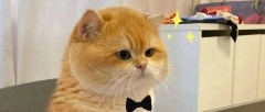 题图-𝐏𝐥𝐨𝐠日常🥂生活状态˗ˏˋ🧡ˎˊ˗