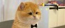 题图-𝐏𝐥𝐨𝐠日常🥂生活状态˗ˏˋ🧡ˎˊ˗