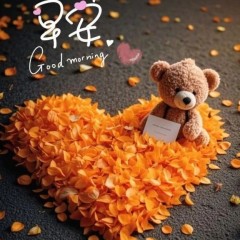 题图-“˗ˋˏ早安朋友圈文案ˎˊ˗²⁰²⁴/₁₁.₀₉：以如愿为喜，以如常为安”