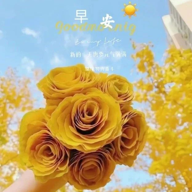 题图-“˗ˋˏ早安朋友圈文案ˎˊ˗²⁰²⁴/₁₁.₀₈：心若向阳，微笑向暖”