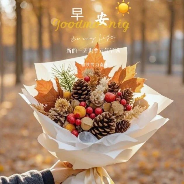 题图-“ ²⁰²⁴/₁₁.₀₈ᵕ̈朋友圈🥂早安文案˗ˏˋ🧡ˎˊ˗ ”